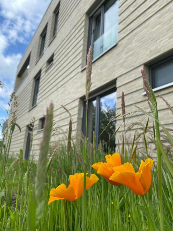 Appartements Haus Augustinus มึนสเทอร์ ภายนอก รูปภาพ